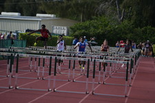 Enlarge photo 346