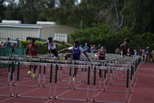 Enlarge photo 349