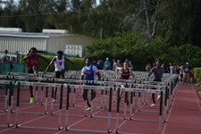 Enlarge photo 351