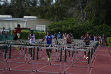 Enlarge photo 353