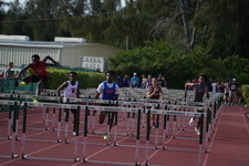 Enlarge photo 355