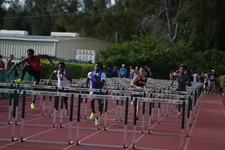 Enlarge photo 356