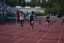 Enlarge photo 373