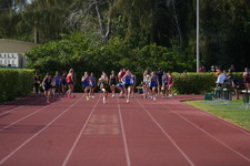 Enlarge photo 383