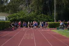 Enlarge photo 384