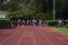 Enlarge photo 386