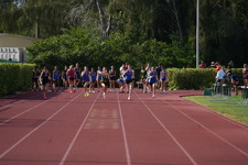 Enlarge photo 389