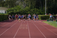 Enlarge photo 391