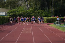 Enlarge photo 390