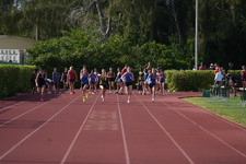 Enlarge photo 393