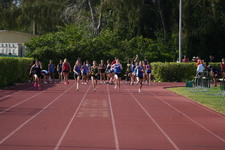 Enlarge photo 394