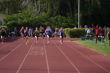 Enlarge photo 395