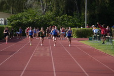 Enlarge photo 399
