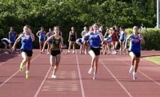 Enlarge photo 409