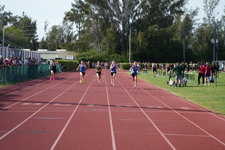 Enlarge photo 418