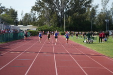 Enlarge photo 419