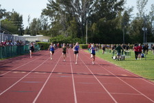 Enlarge photo 426