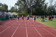 Enlarge photo 429