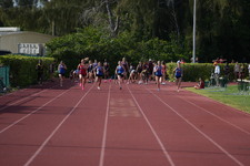 Enlarge photo 438