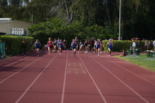 Enlarge photo 440