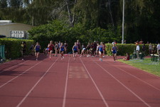 Enlarge photo 442