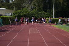 Enlarge photo 443