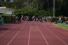 Enlarge photo 446