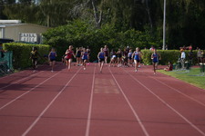 Enlarge photo 445