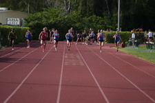 Enlarge photo 447