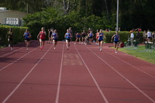 Enlarge photo 448