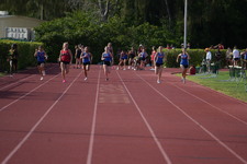 Enlarge photo 449