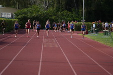 Enlarge photo 451