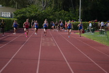 Enlarge photo 452