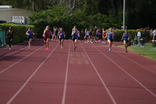 Enlarge photo 455