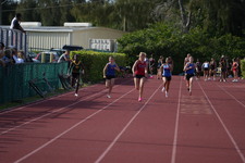 Enlarge photo 459