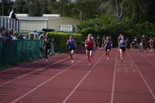 Enlarge photo 463