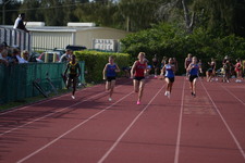 Enlarge photo 462