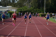 Enlarge photo 473