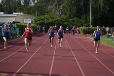 Enlarge photo 475