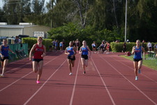 Enlarge photo 477