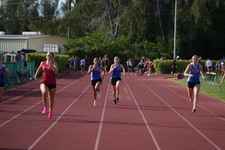 Enlarge photo 478