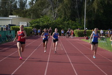Enlarge photo 479
