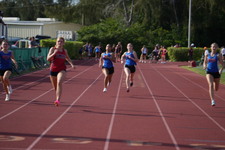 Enlarge photo 481