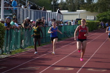 Enlarge photo 483