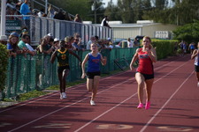 Enlarge photo 482