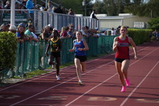 Enlarge photo 486