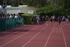 Enlarge photo 494