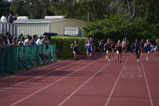 Enlarge photo 497