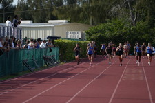 Enlarge photo 498