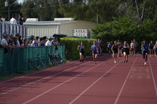 Enlarge photo 501